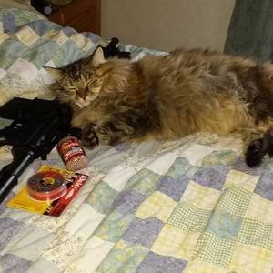 Meet your Posher, Jane